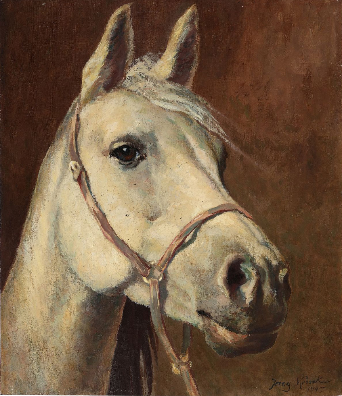 Jerzy Kossak (1886-1955) „Głowa siwka”, źródło: Tiberius Auktionen