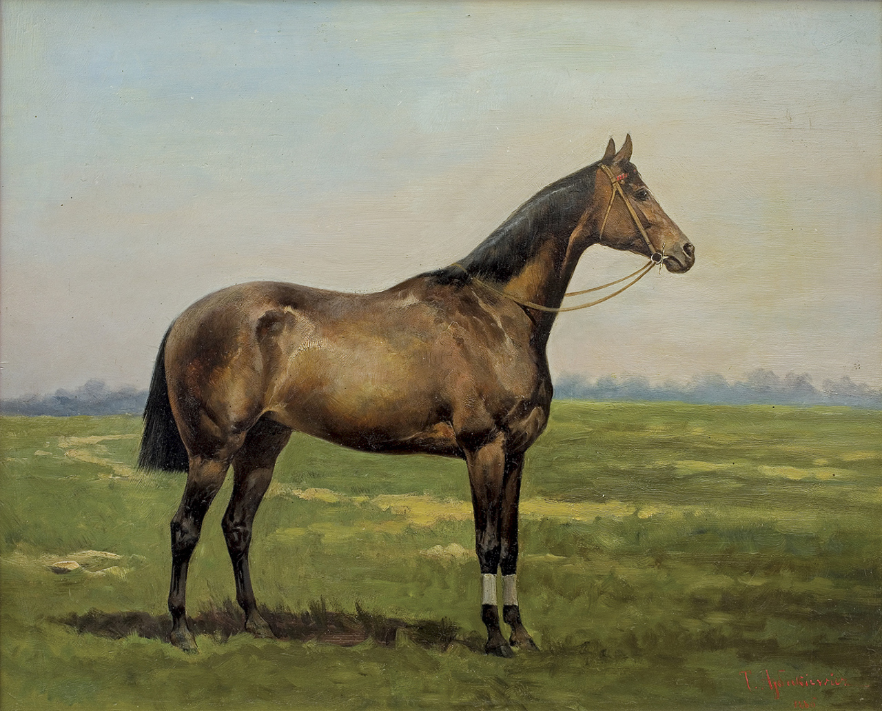 Tadeusz Ajdukiewicz (1852-1916), "Koń wyścigowy", 1886 rok, źródło: Agra Art
