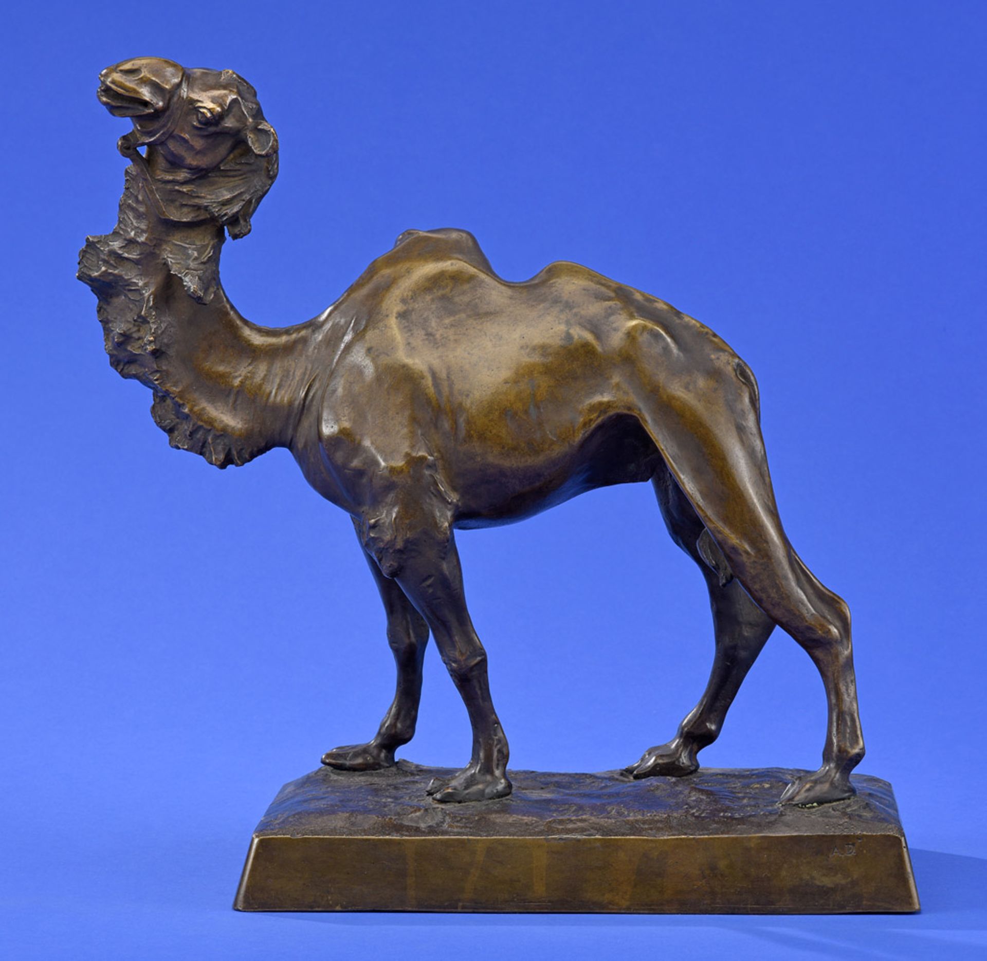 Jan Antoni Biernacki (1879-1930) "Wielbłąd", źródło:  Düsseldorfer Auktionshaus