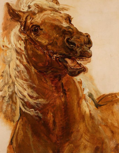 Jan Matejko (1838-1893), Szkic głowy konia do obrazu „Zamoyski pod Byczyną”