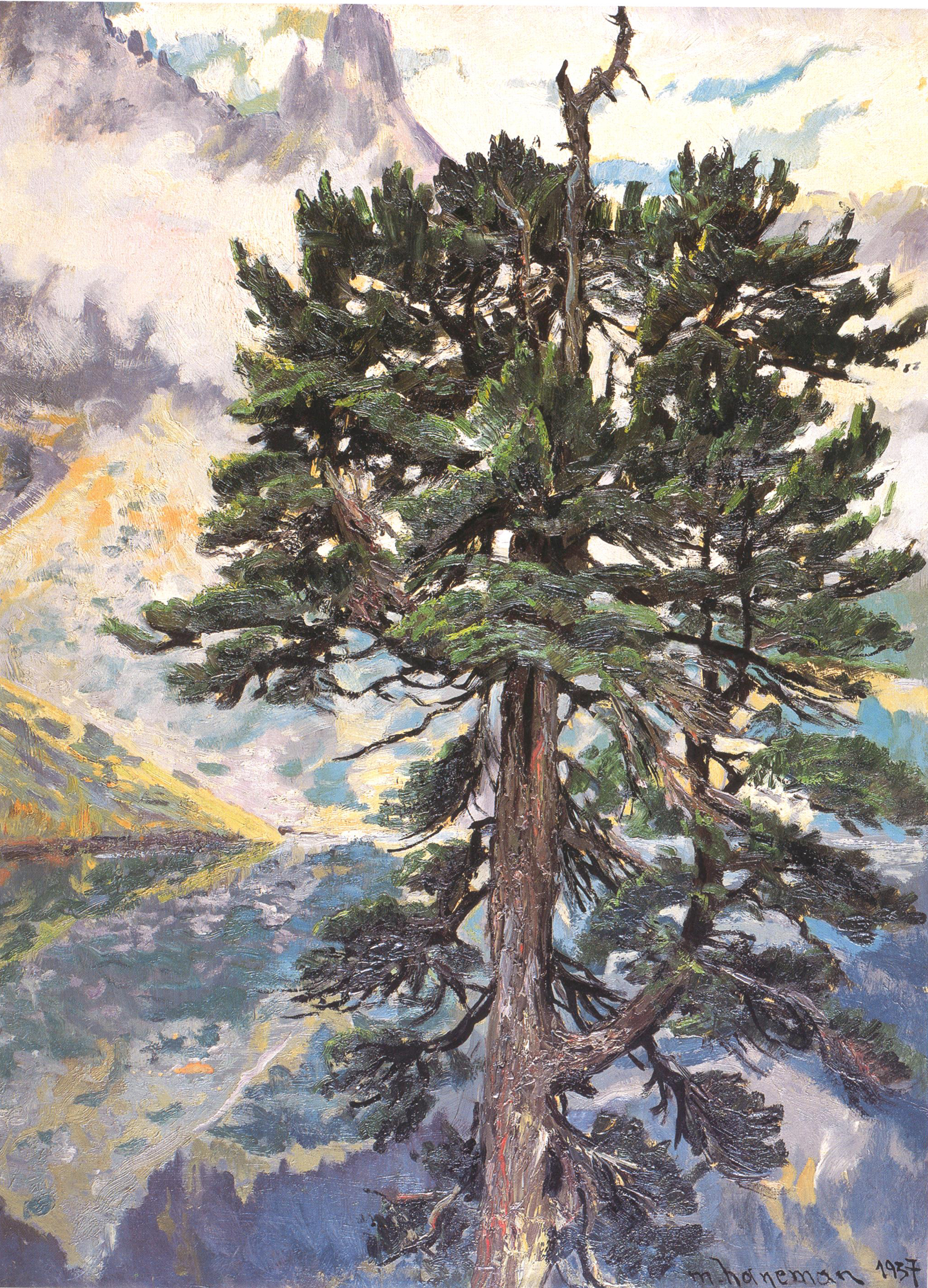 Maks Haneman (1882-1943?), “Limba nad Morskim Okiem”, 1937 rok, źródło: Muzeum Tatrzańskie w Zakopanem Maks Haneman (1882-1943?), “Limba nad Morskim Okiem”, 1937 rok, źródło: Muzeum Tatrzańskie w Zakopanem